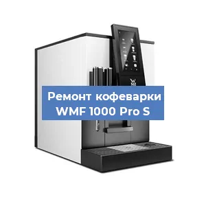 Декальцинация   кофемашины WMF 1000 Pro S в Ижевске